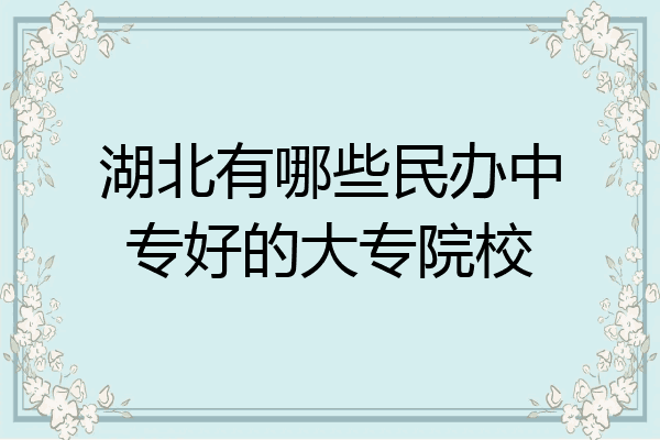 湖北有哪些民办中专好的大专院校