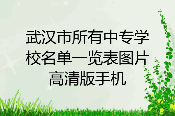 武汉市所有中专学校名单一览表图片高清版手机