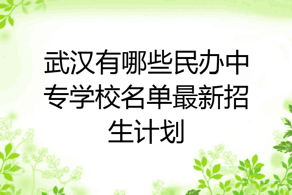 武汉有哪些民办中专学校名单最新招生计划
