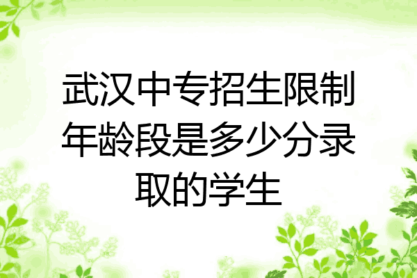 武汉中专招生限制年龄段是多少分录取的学生