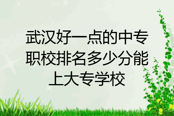 武汉好一点的中专职校排名多少分能上大专学校