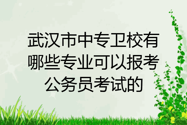 武汉市中专卫校有哪些专业可以报考公务员考试的