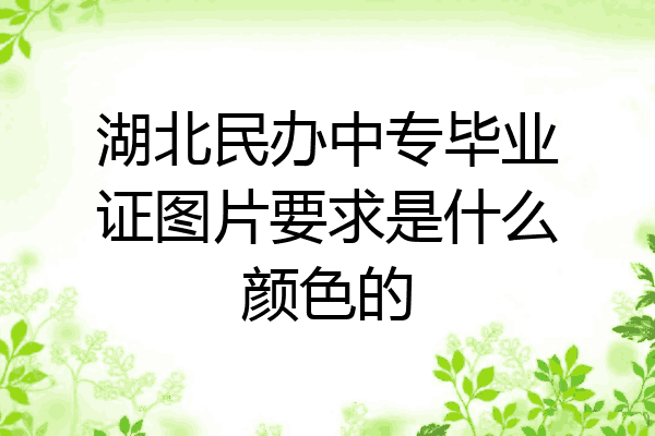 湖北民办中专毕业证图片要求是什么颜色的