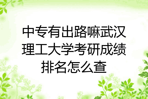 中专有出路嘛武汉理工大学考研成绩排名怎么查