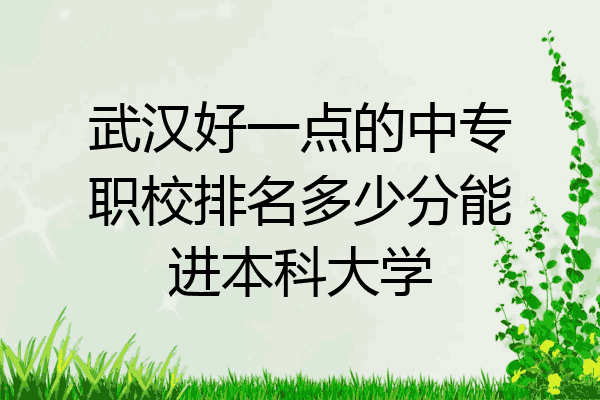 武汉好一点的中专职校排名多少分能进本科大学