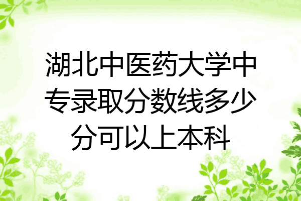 湖北中医药大学中专录取分数线多少分可以上本科