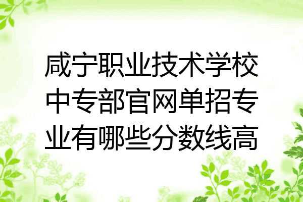 咸宁职业技术学校中专部官网单招专业有哪些分数线高