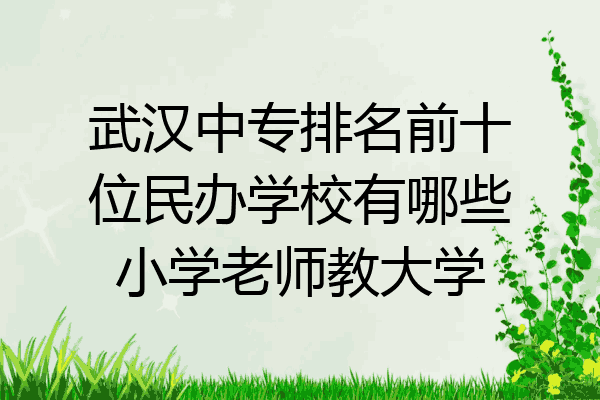 武汉中专排名前十位民办学校有哪些小学老师教大学