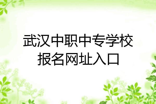 武汉中职中专学校报名网址入口