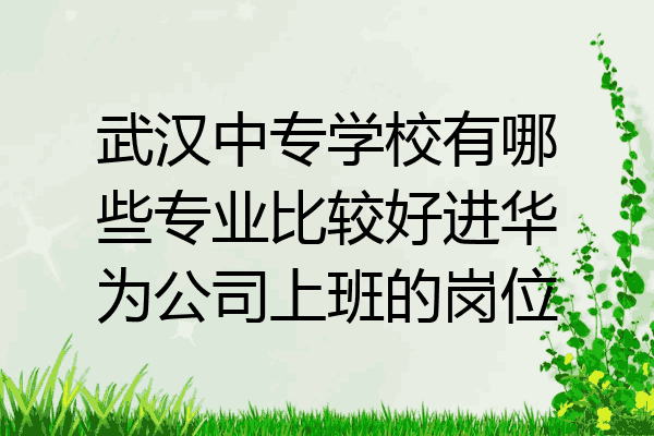 武汉中专学校有哪些专业比较好进华为公司上班的岗位