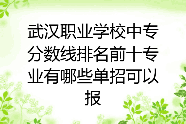 武汉职业学校中专分数线排名前十专业有哪些单招可以报