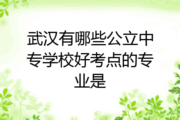 武汉有哪些公立中专学校好考点的专业是