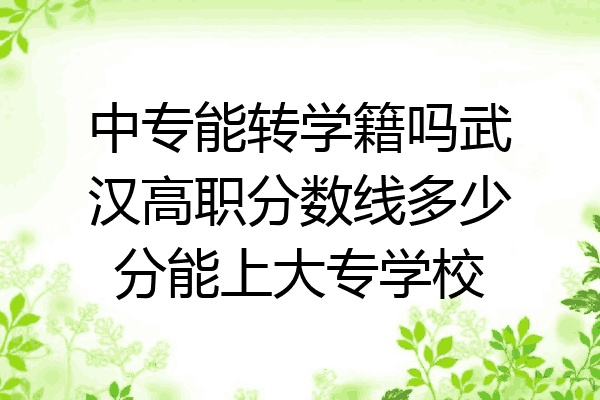 中专能转学籍吗武汉高职分数线多少分能上大专学校
