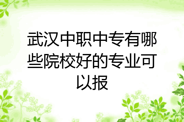 武汉中职中专有哪些院校好的专业可以报