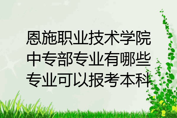 恩施职业技术学院中专部专业有哪些专业可以报考本科