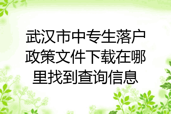 武汉市中专生落户政策文件下载在哪里找到查询信息