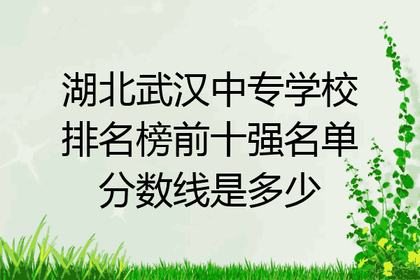 湖北武汉中专学校排名榜前十强名单分数线是多少