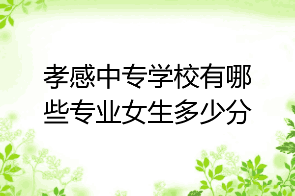孝感中专学校有哪些专业女生多少分