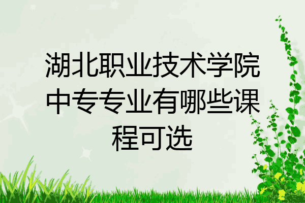 湖北职业技术学院中专专业有哪些课程可选