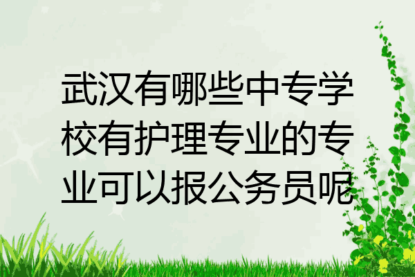 武汉有哪些中专学校有护理专业的专业可以报公务员呢