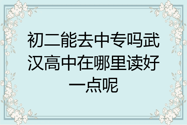 初二能去中专吗武汉高中在哪里读好一点呢