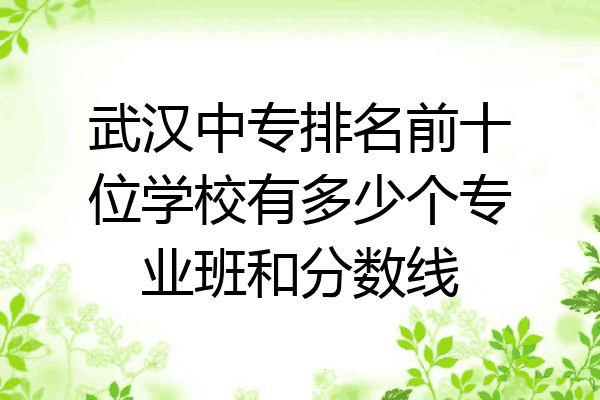 武汉中专排名前十位学校有多少个专业班和分数线