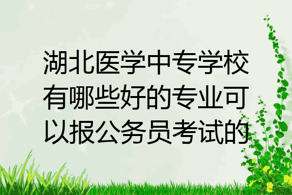 湖北医学中专学校有哪些好的专业可以报公务员考试的
