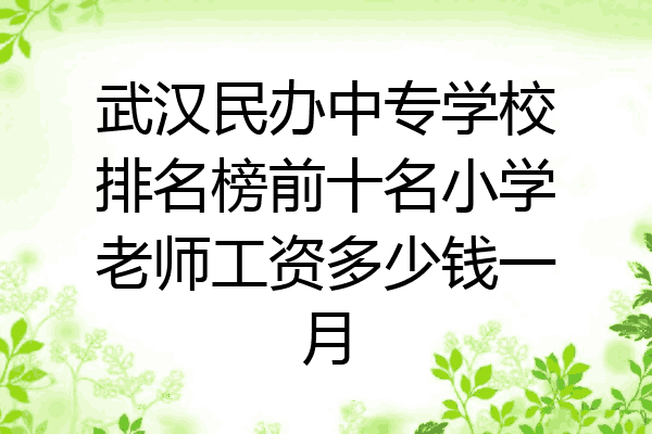 武汉民办中专学校排名榜前十名小学老师工资多少钱一月