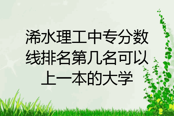 浠水理工中专分数线排名第几名可以上一本的大学