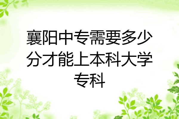 襄阳中专需要多少分才能上本科大学专科