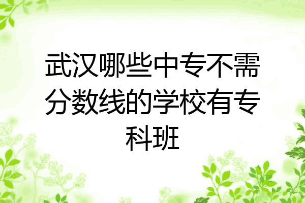 武汉哪些中专不需分数线的学校有专科班