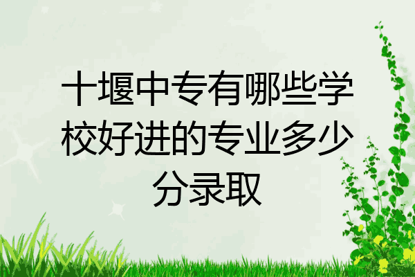 十堰中专有哪些学校好进的专业多少分录取