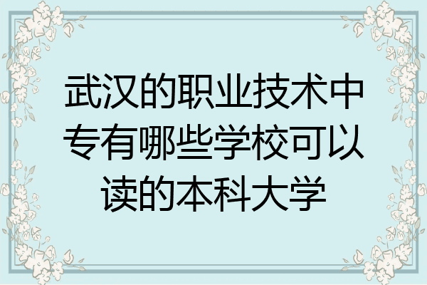 武汉的职业技术中专有哪些学校可以读的本科大学