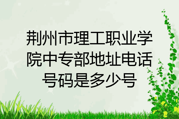 荆州市理工职业学院中专部地址电话号码是多少号