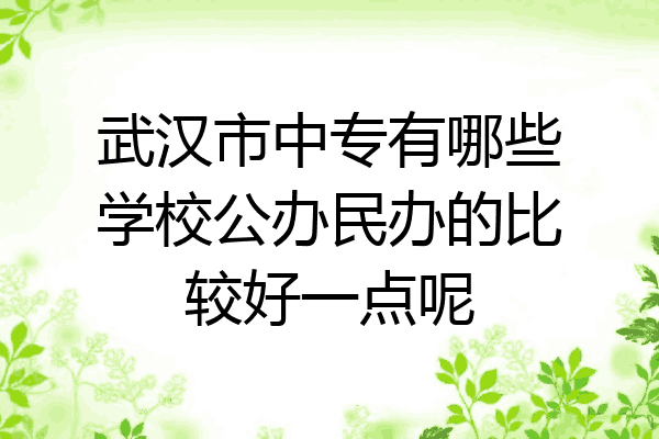 武汉市中专有哪些学校公办民办的比较好一点呢