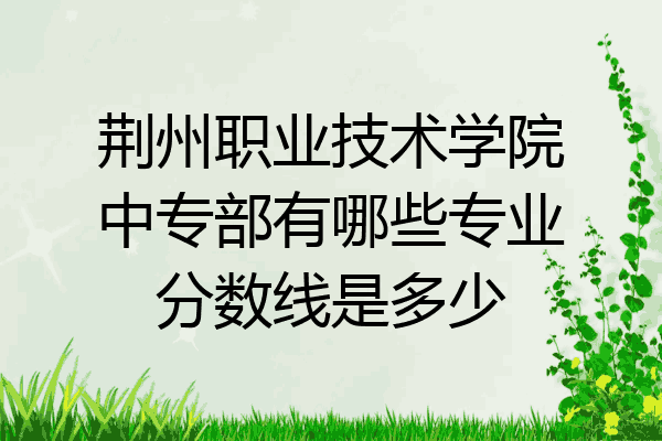 荆州职业技术学院中专部有哪些专业分数线是多少