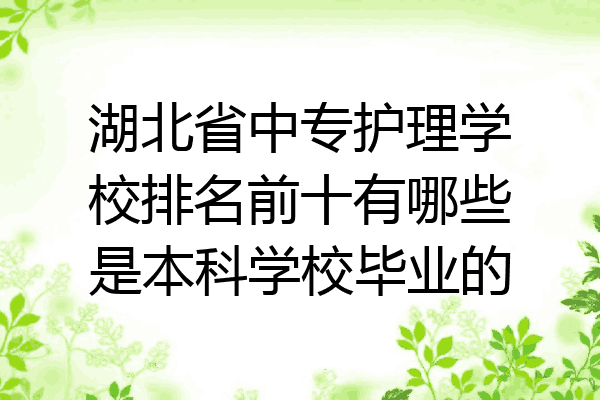 湖北省中专护理学校排名前十有哪些是本科学校毕业的