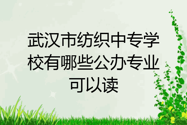 武汉市纺织中专学校有哪些公办专业可以读