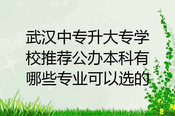 武汉中专升大专学校推荐公办本科有哪些专业可以选的