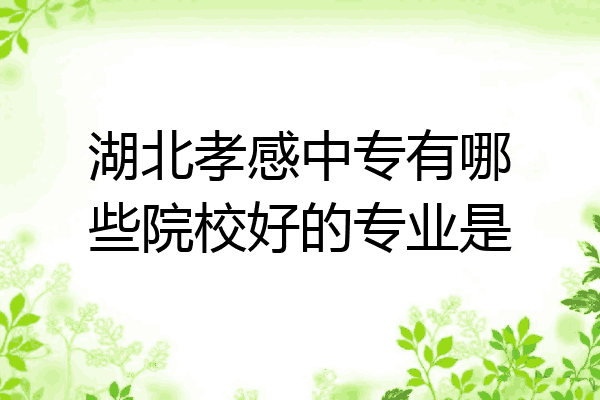 湖北孝感中专有哪些院校好的专业是