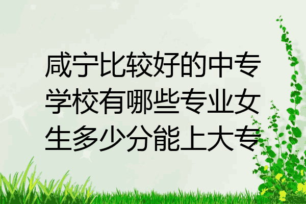 咸宁比较好的中专学校有哪些专业女生多少分能上大专