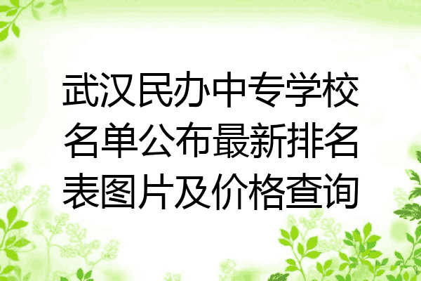 武汉民办中专学校名单公布最新排名表图片及价格查询