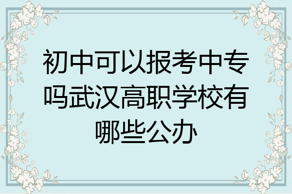 初中可以报考中专吗武汉高职学校有哪些公办