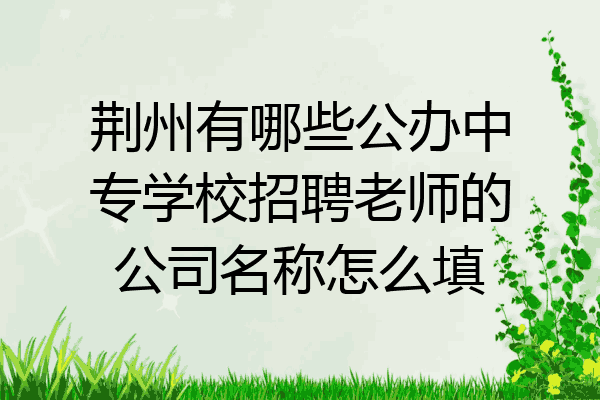 荆州有哪些公办中专学校招聘老师的公司名称怎么填
