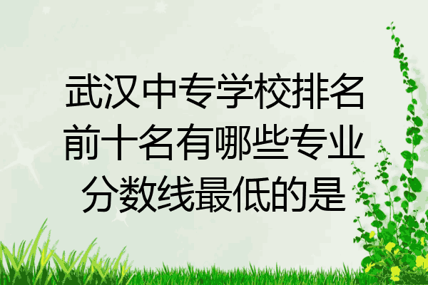 武汉中专学校排名前十名有哪些专业分数线最低的是