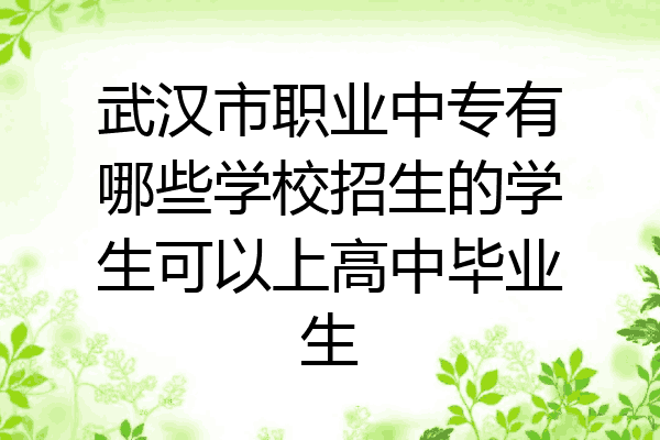 武汉市职业中专有哪些学校招生的学生可以上高中毕业生