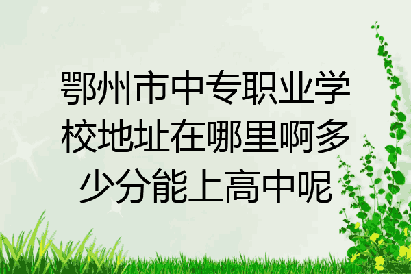 鄂州市中专职业学校地址在哪里啊多少分能上高中呢