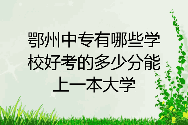 鄂州中专有哪些学校好考的多少分能上一本大学