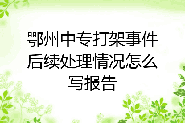 鄂州中专打架事件后续处理情况怎么写报告
