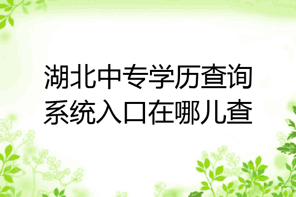 湖北中专学历查询系统入口在哪儿查